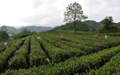 永信贵宾会·217(中国区)官方网站