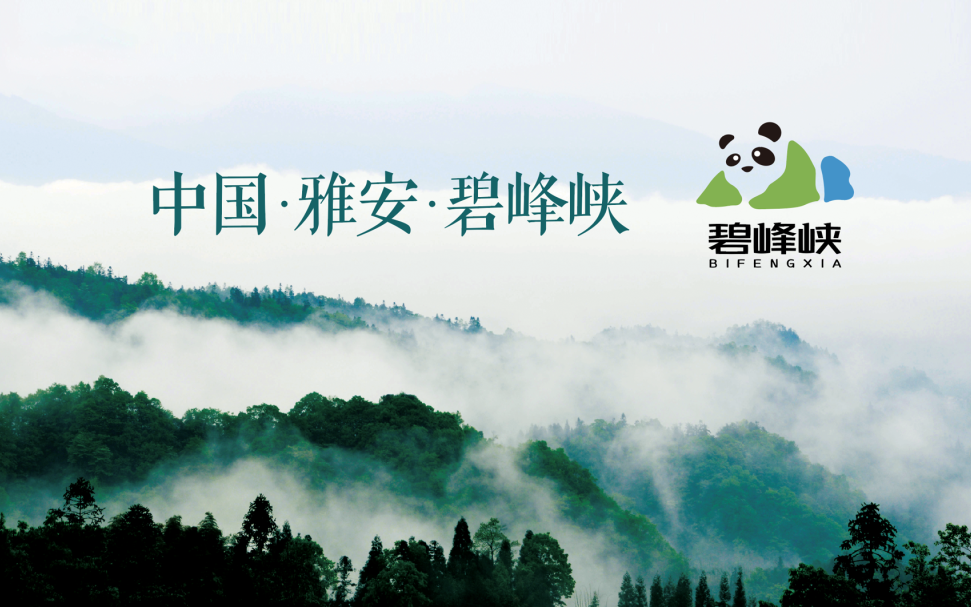 永信贵宾会·217(中国区)官方网站