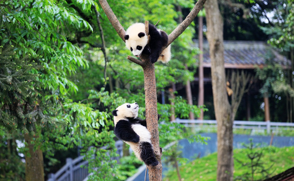 永信贵宾会·217(中国区)官方网站