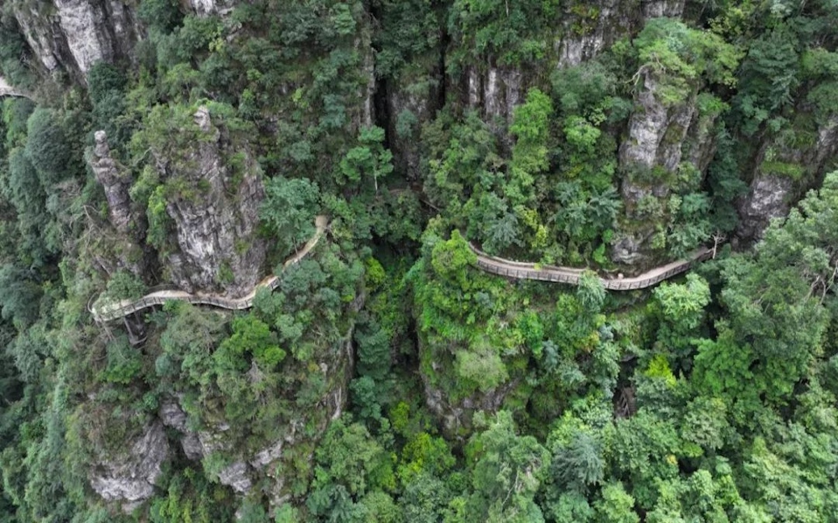 永信贵宾会·217(中国区)官方网站